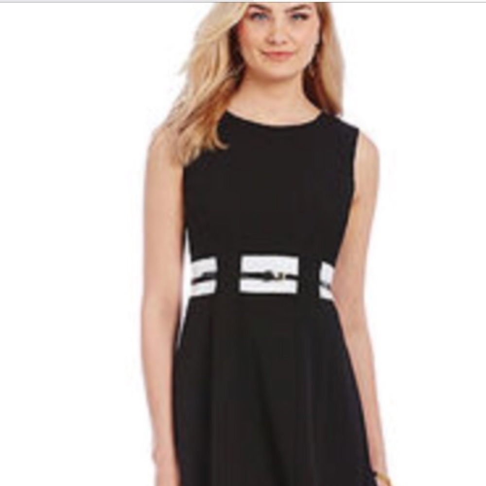 Calvin Klein Color Block Dress with black belt